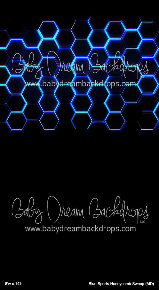 Blue Sports Honeycomb Sweep (MD)