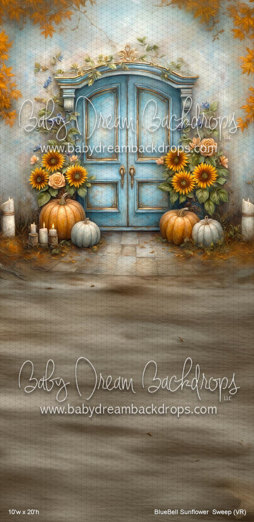 BlueBell Sunflower  Sweep (VR)