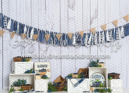 Blueberry Picking (JG)