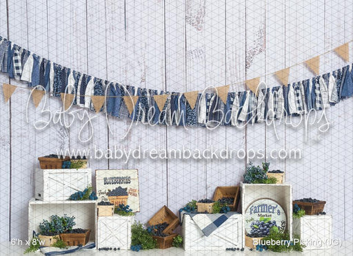 Blueberry Picking (JG)