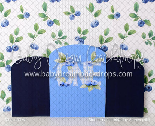 Blueberry first birthday Arches (NN)
