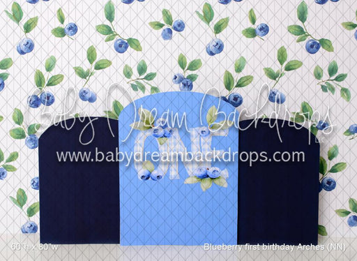 Blueberry first birthday Arches (NN)