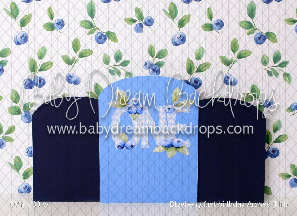 Blueberry first birthday Arches (NN)