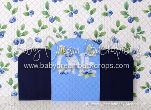 Blueberry first birthday Arches (NN)