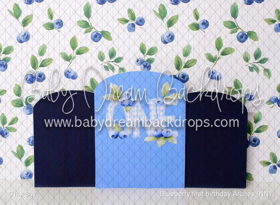 Blueberry first birthday Arches (NN)