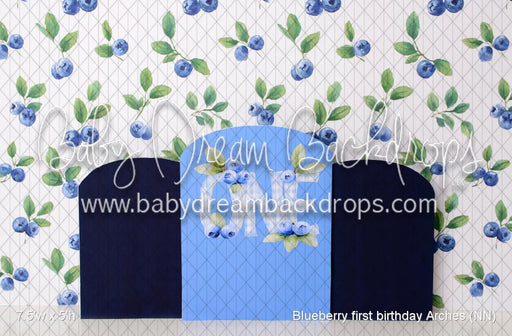 Blueberry first birthday Arches (NN)
