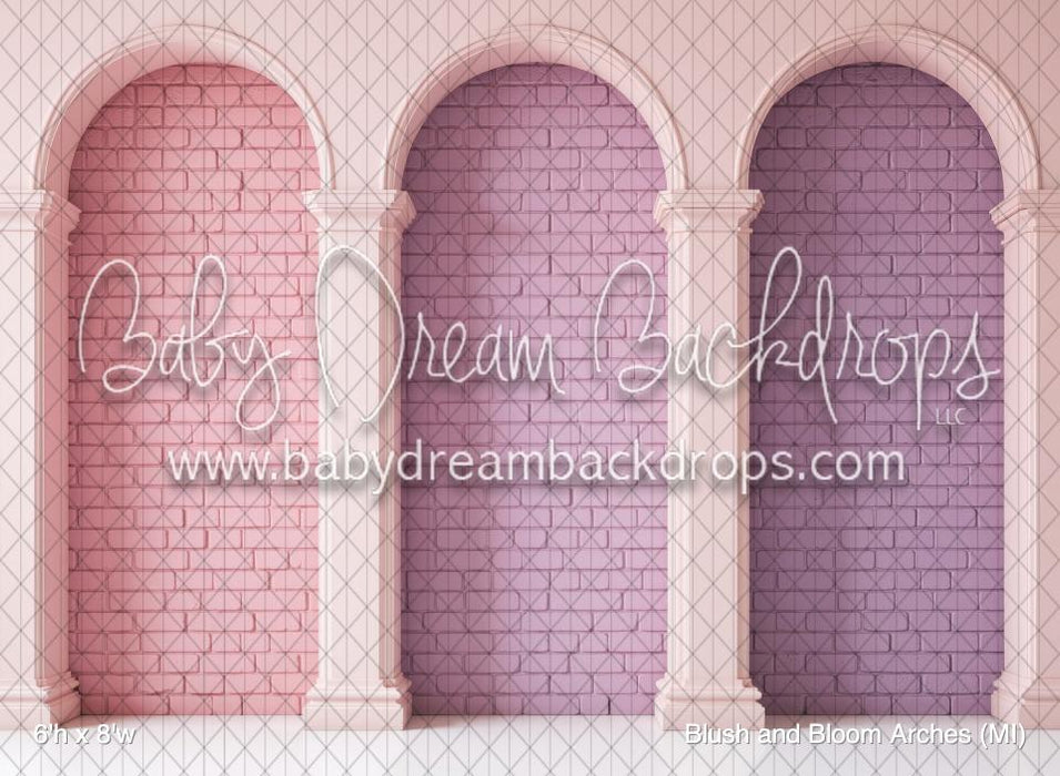 Blush and Bloom Arches (MI)
