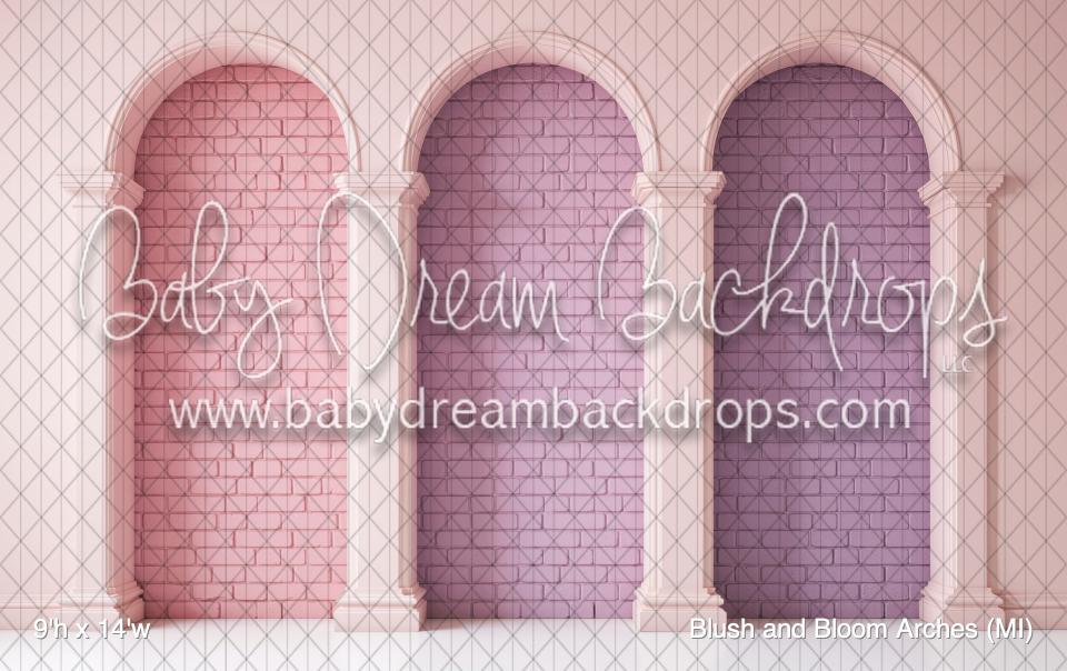 Blush and Bloom Arches (MI)