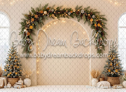 Boho Christmas Arch (MI)