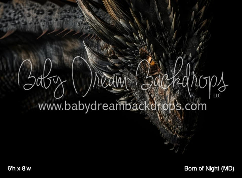 Born of Night (MD)