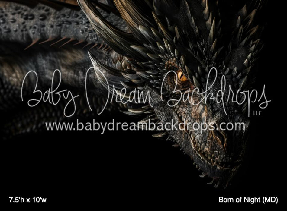 Born of Night (MD)