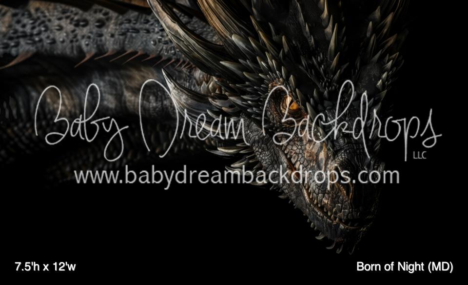 Born of Night (MD)