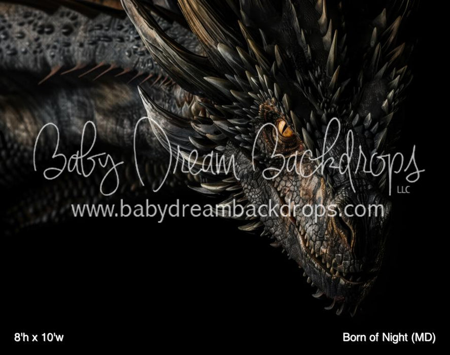 Born of Night (MD)