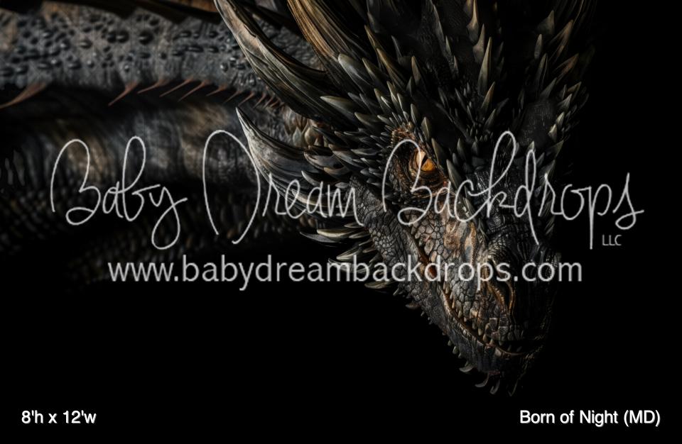 Born of Night (MD)