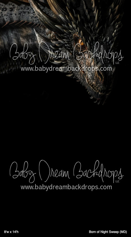 Born of Night Sweep (MD)