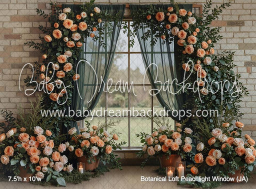 Botanical Loft Peachlight Window (JA)