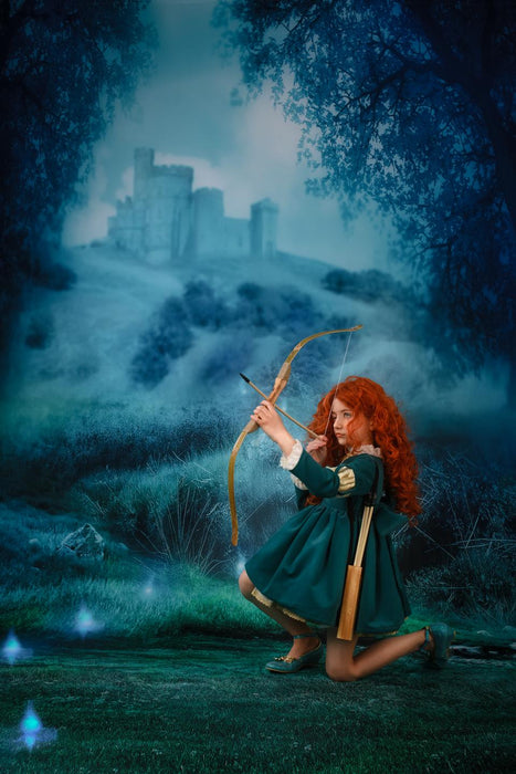 Enchanted Princess Valiant (WM)