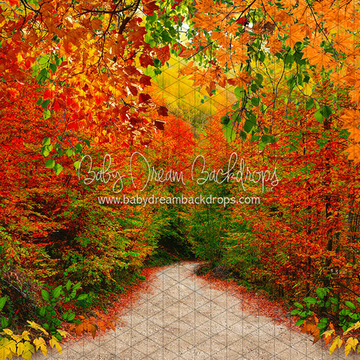 Bright Side of Fall (CC)