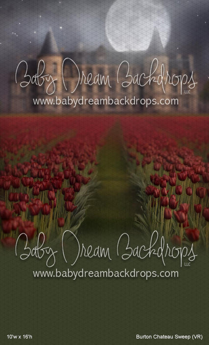 Burton Chateau Sweep (VR)