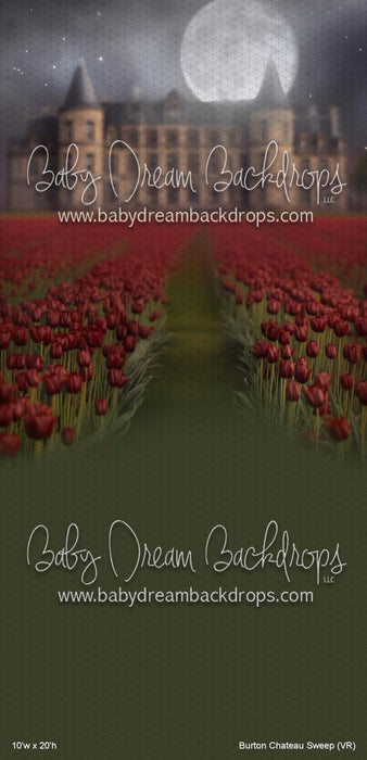 Burton Chateau Sweep (VR)