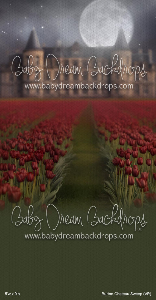 Burton Chateau Sweep (VR)