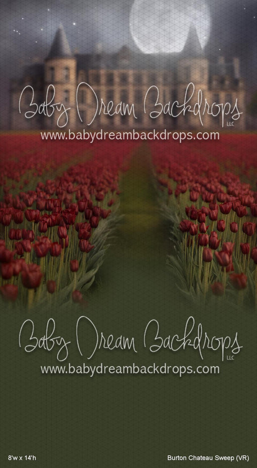 Burton Chateau Sweep (VR)