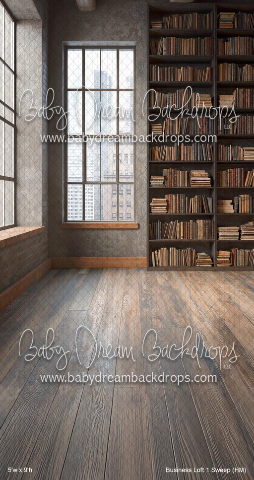 Business Loft 1 Sweep (HM)