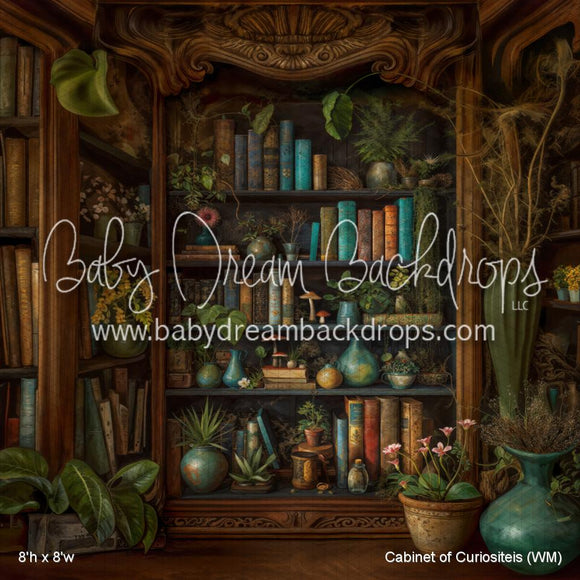 X Drop Cabinet of Curiositeis (WM)