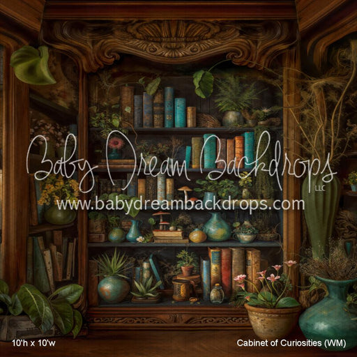 Cabinet of Curiosities (WM)