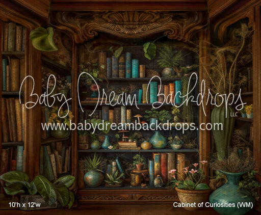 Cabinet of Curiosities (WM)