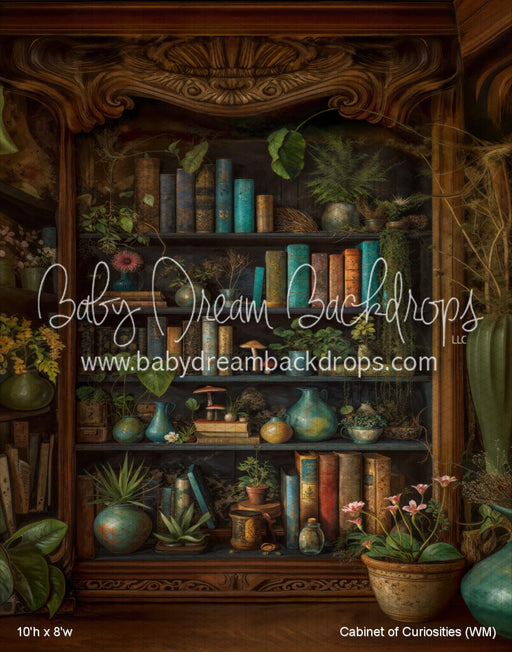 Cabinet of Curiosities (WM)