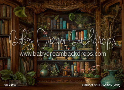 Cabinet of Curiosities (WM)