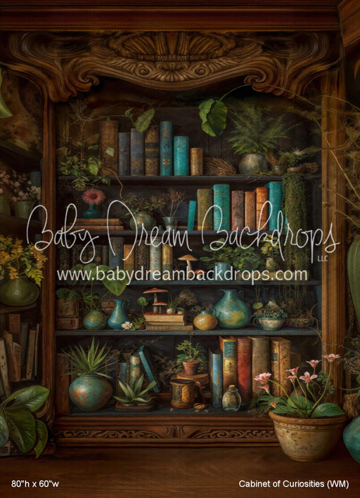 Cabinet of Curiosities (WM)