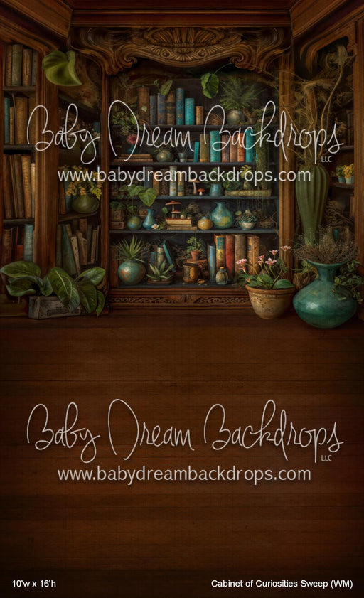 Cabinet of Curiosities Sweep (WM)