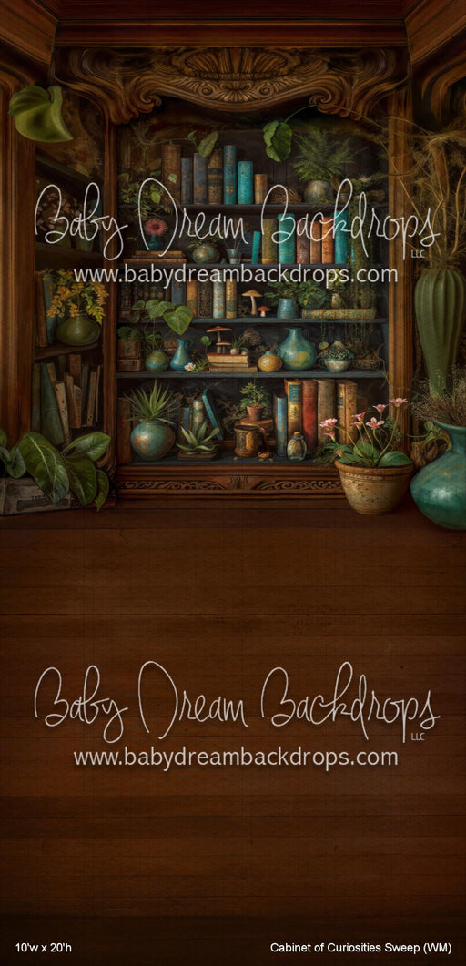 Cabinet of Curiosities Sweep (WM)