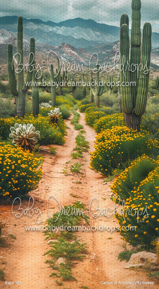 Cactus of Arizona Sweep (VR)