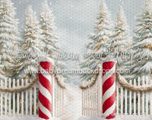 Candy Cane Tree Farm (VR)