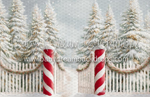 Candy Cane Tree Farm (VR)