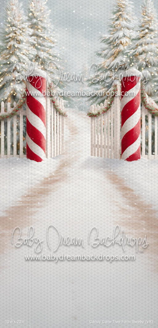Candy Cane Tree Farm Sweep (VR)