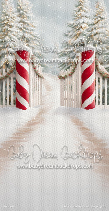 Candy Cane Tree Farm Sweep (VR)