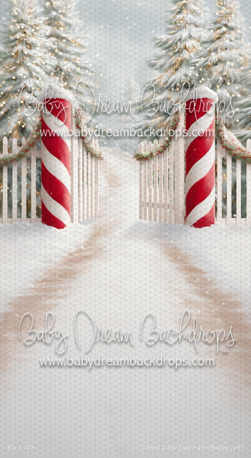 Candy Cane Tree Farm Sweep (VR)