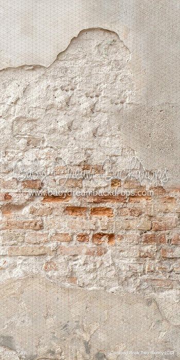 Carlsbad Brick Two Skinny (CC)