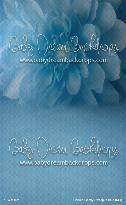 Carried Gently Sweep in Blue (MD)