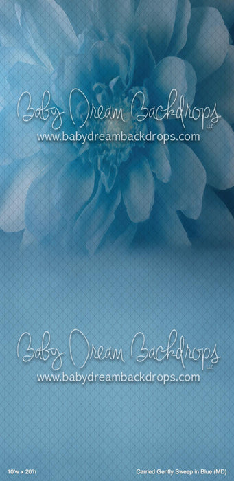 Carried Gently Sweep in Blue (MD)