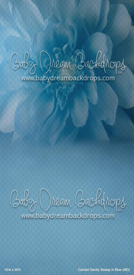 Carried Gently Sweep in Blue (MD)