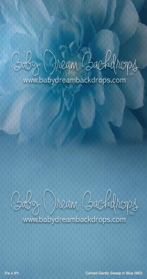 Carried Gently Sweep in Blue (MD)