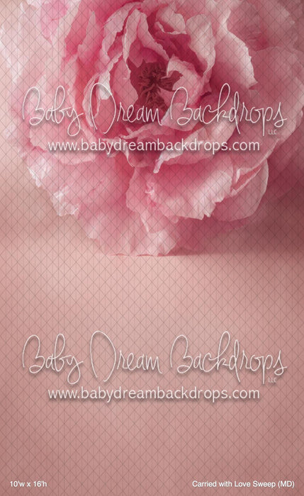 Carried with Love Sweep (MD)