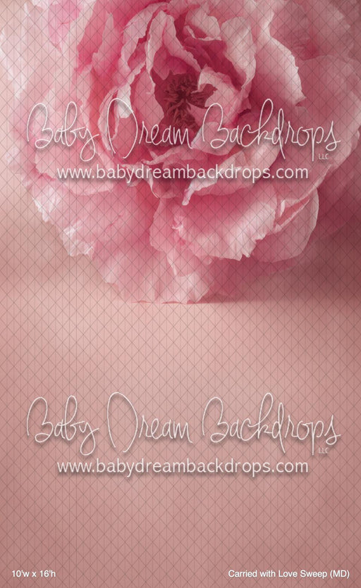 Carried with Love Sweep (MD)