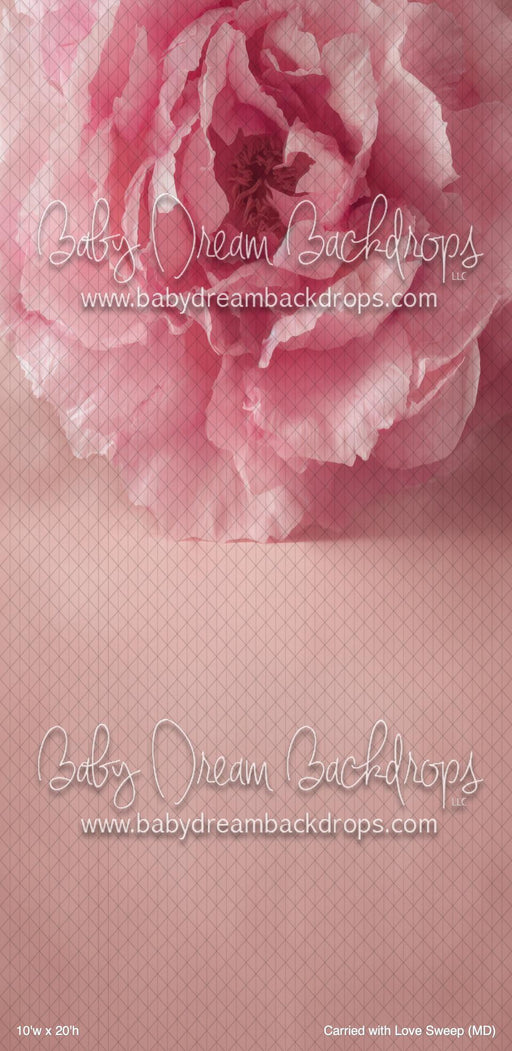 Carried with Love Sweep (MD)