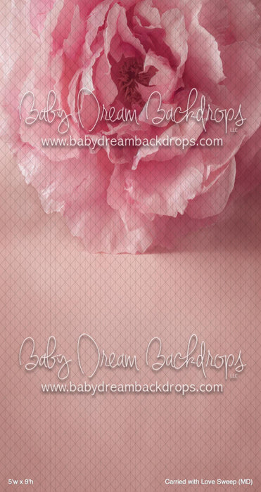 Carried with Love Sweep (MD)